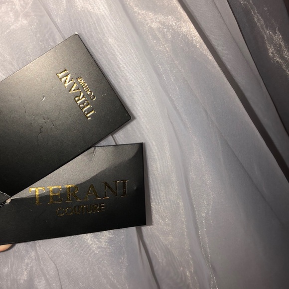 2017 Terani Couture Ball Gown - Picture 8 of 8